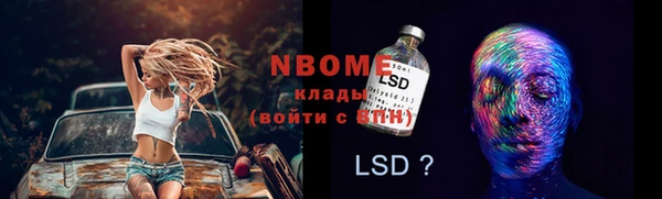 PSILOCYBIN Балахна